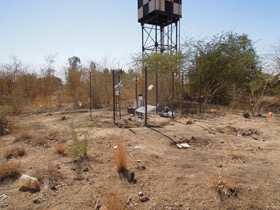 気象観測機器、樹液流計測機器の設置状況